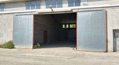 Warehouse of 220 m² in Silvi (64028)