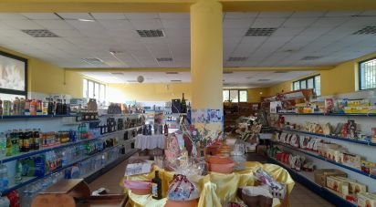 Shop / premises commercial of 428 m² in Castellalto (64020)