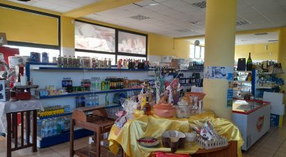 Shop / premises commercial of 428 m² in Castellalto (64020)