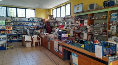 Shop / premises commercial of 428 m² in Castellalto (64020)