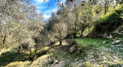 Terreno di 3.919 m² in Cipressa (18017)