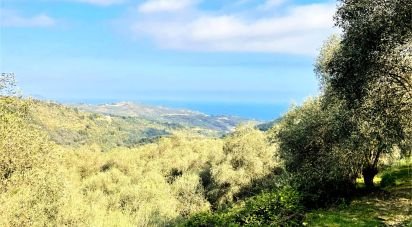 Terreno di 3.919 m² in Cipressa (18017)