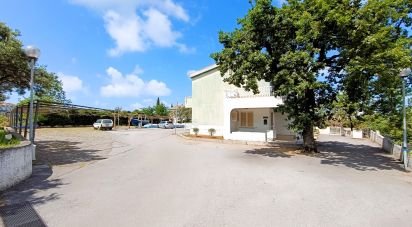 Trilocale di 62 m² a San Nicola Arcella (87020)