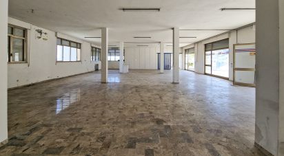 Negozio / locale commerciale di 240 m² in Monte Urano (63813)