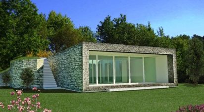 Land of 28,000 m² in Alassio (17021)