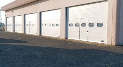 Other surface of 1,000 m² in Montechiarugolo (43030)