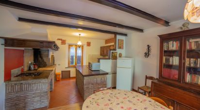 Country home 0 rooms of 370 m² in Morro d'Alba (60030)