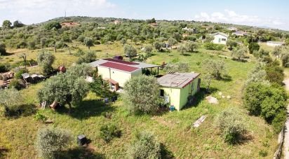 Land of 2,500 m² in Sassari (07100)
