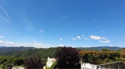 Apartment 6 rooms of 84 m² in Celle Ligure (17015)