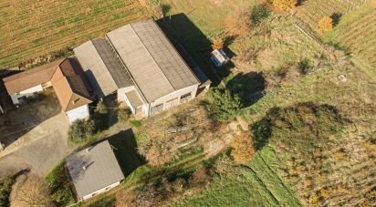 Townhouse 10 rooms of 300 m² in Carpeneto (15071)