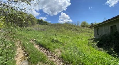 Land of 25,000 m² in Dego (17058)