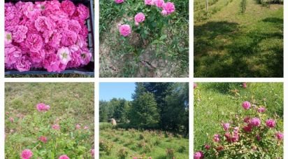 Townhouse 2 rooms of 70 m² in Cafasse (10070)