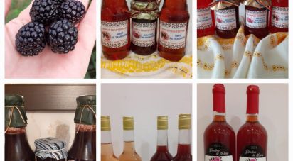 Townhouse 2 rooms of 70 m² in Cafasse (10070)