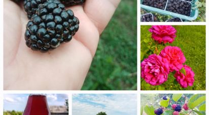 Townhouse 2 rooms of 70 m² in Cafasse (10070)