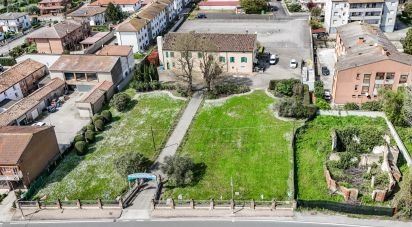 Restaurant of 982 m² in Migliaro (44020)