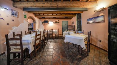 Restaurant of 982 m² in Migliaro (44020)