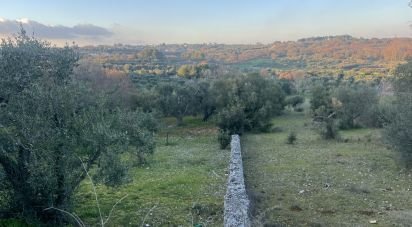 Terreno di 1.071 m² in Cisternino (72014)