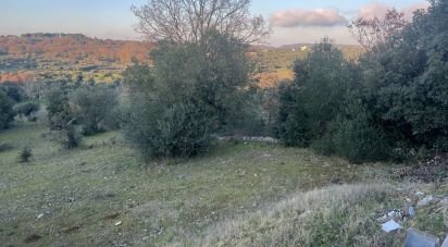 Terreno di 1.071 m² in Cisternino (72014)