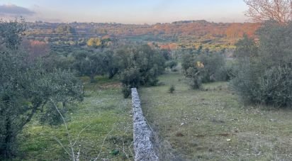 Terreno di 1.071 m² in Cisternino (72014)