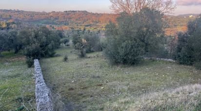 Terreno di 1.071 m² in Cisternino (72014)