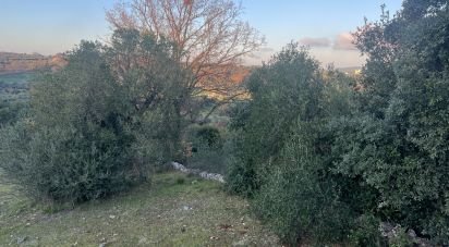 Terreno di 1.071 m² in Cisternino (72014)
