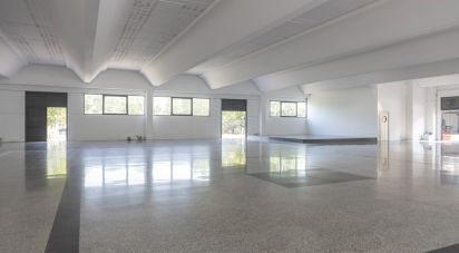 Varie superfici di 3.200 m² in Porto Sant'Elpidio (63821)