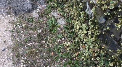 Costruzione di 99 m² in Vicenza (36100)