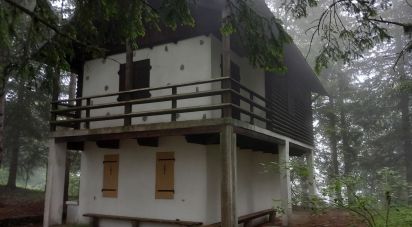 Casa indipendente / Villa 5 locali di 89 m² in Pigna (18037)