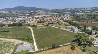 Varie superfici di 4.891 m² in Osimo (60027)