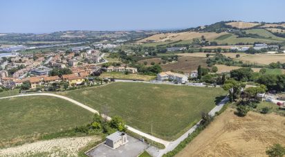Varie superfici di 4.891 m² in Osimo (60027)