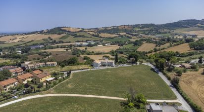 Varie superfici di 4.891 m² in Osimo (60027)