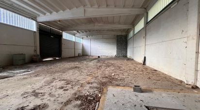 Negozio / locale commerciale di 4.000 m² in Genova (16133)