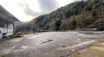 Negozio / locale commerciale di 4.000 m² in Genova (16133)