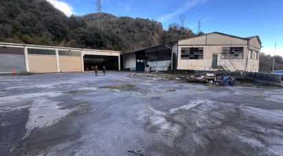 Negozio / locale commerciale di 4.000 m² in Genova (16133)
