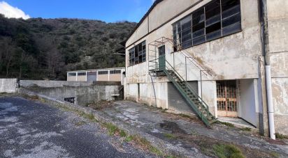 Negozio / locale commerciale di 4.000 m² in Genova (16133)