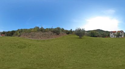 Land of 810 m² in Villanova d'Albenga (17038)