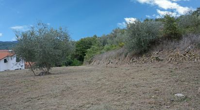 Land of 810 m² in Villanova d'Albenga (17038)
