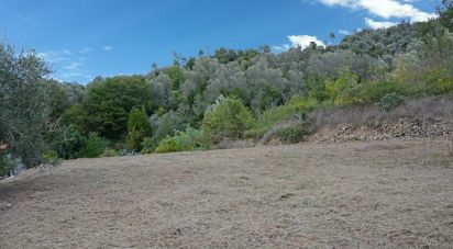 Land of 810 m² in Villanova d'Albenga (17038)