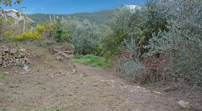 Land of 810 m² in Villanova d'Albenga (17038)