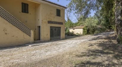 Casa indipendente / Villa 8 locali di 400 m² in Filottrano (60024)
