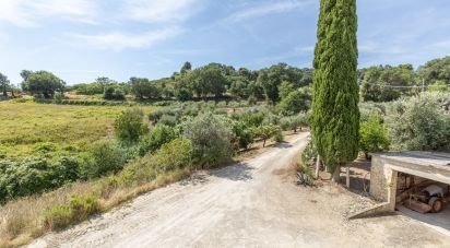 Casa indipendente 6 locali di 290 m² in Campofilone (63828)