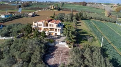 Casale 19 locali di 485 m² in Morro d'Oro (64020)