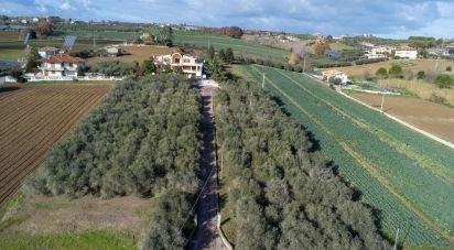 Casale 19 locali di 485 m² in Morro d'Oro (64020)