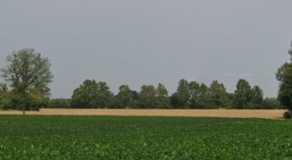 Land of 68,122 m² in Grisignano di Zocco (36040)