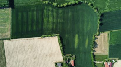 Land of 68,122 m² in Grisignano di Zocco (36040)