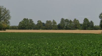 Land of 68,122 m² in Grisignano di Zocco (36040)