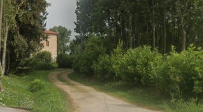 Land of 68,122 m² in Grisignano di Zocco (36040)