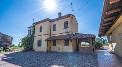 House 6 rooms of 228 m² in Migliarino (44027)