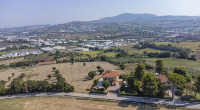 Terreno di 9.516 m² in Osimo (60027)