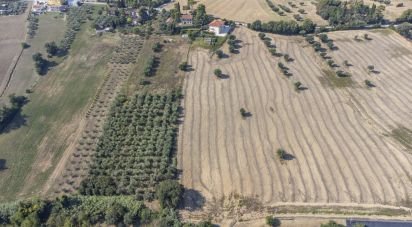 Terreno di 9.516 m² in Osimo (60027)